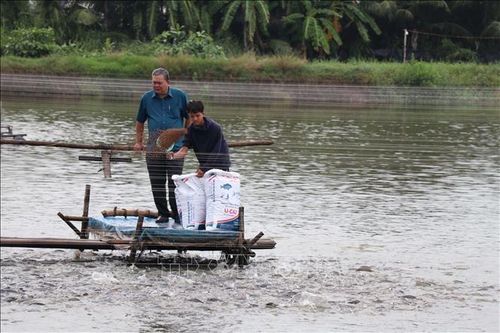 Vĩnh Long kêu gọi đầu tư nhiều dự án thủy sản