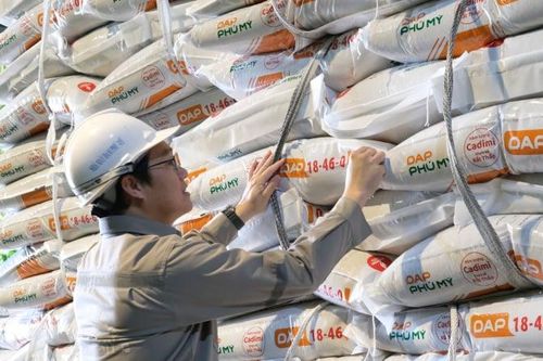 Phú Mỹ duy trì cổ tức 12%, đầu tư hơn 1.100 tỷ đồng bằng vốn tự có