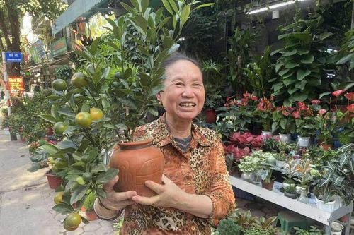 Quất cảnh sẵn sàng 'lên phố', nhà vườn tất bật đón khách