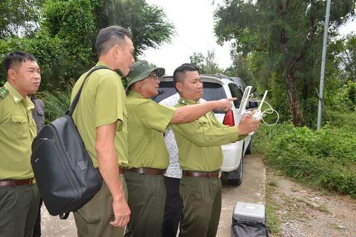 Tăng điều tra, giảm vi phạm pháp luật về rừng