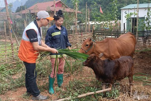 Hướng thoát nghèo của người vùng cao