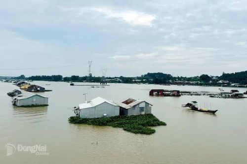 Phê duyệt Dự án Sắp xếp, di dời và giải tỏa lồng bè dôi dư trên hồ Trị An