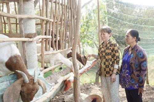 Phụ nữ xã Hiệp Đức: Bền bỉ góp sức xây dựng nông thôn mới