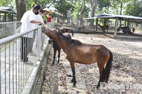 Đồng Tháp: Đẩy mạnh tuyên truyền bảo vệ động vật hoang dã