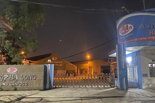 Hải Phòng: Khởi tố 9 bị can tuồn 120 tấn thịt lợn bệnh vào Công ty Đồ hộp Hạ Long