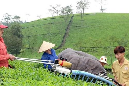 'Dẫn nhịp' để nông sản vươn ra 'biển lớn'
