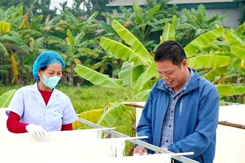 Mì gạo sạch - sinh ra từ làng