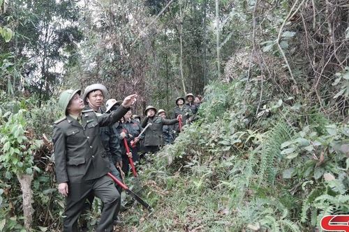 Giữ những cánh rừng thêm xanh
