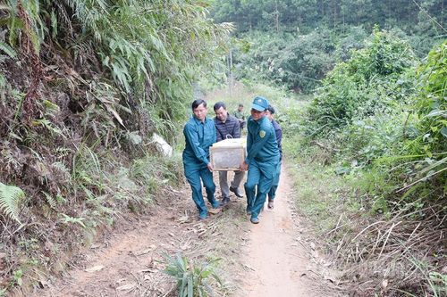 Hủy nổ quả bom còn sót lại sau chiến tranh