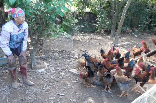 Điểm tựa thoát nghèo