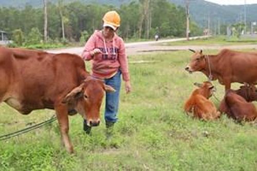 Điểm tựa từ dòng họ, thôn xóm