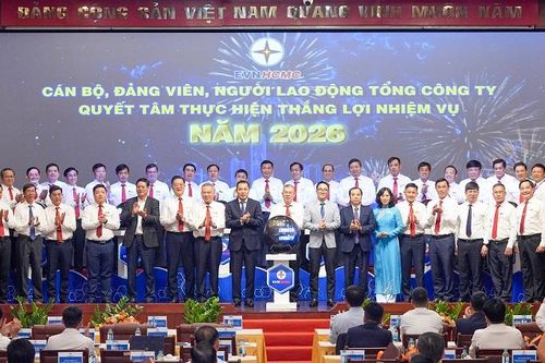 Tổng công ty Điện lực TPHCM tiếp tục duy trì vị trí dẫn đầu trong năm 2025