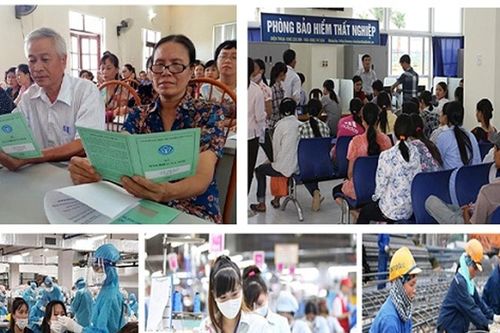 BHXH TP. Hồ Chí Minh hướng dẫn mức đóng BHXH, BHYT theo lương tối thiểu mới