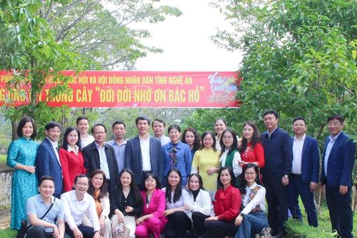 Văn phòng Đoàn ĐBQH và HĐND tỉnh Nghệ An Khẳng định vai trò trung tâm trong công tác tham mưu, phục vụ