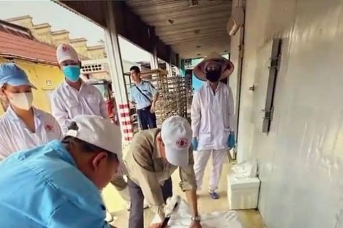 Vụ thịt lợn nhiễm dịch tại Hải Phòng: Đồ hộp Hạ Long đang kinh doanh ra sao?