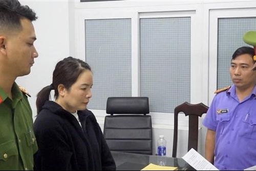 Bắt nữ giám đốc lừa đảo 14 tỷ đồng tiền đặt cọc mua đất theo 'suất ngoại giao'