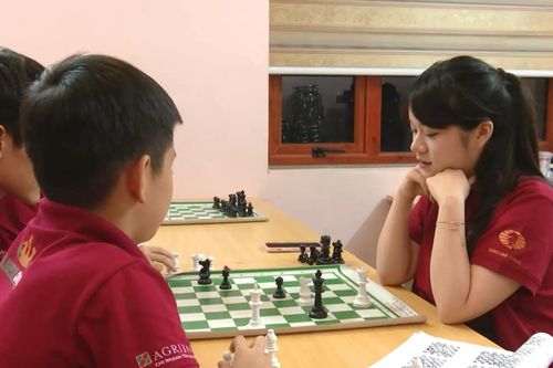 Điểm tựa của nhà vô địch cờ vua trẻ thế giới