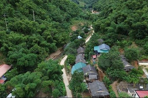 Trung Sơn hồi sinh sau 'cơn bão trắng'