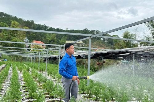 Để giảm nghèo bền vững cần giải pháp có trọng tâm, trọng điểm