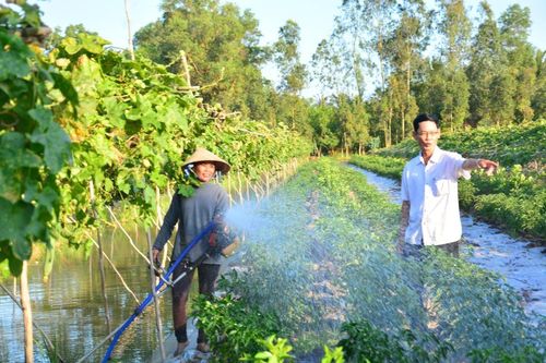 Cú huých thoát nghèo cho đồng bào dân tộc Khmer