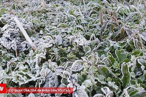 Nghệ An ghi nhận băng giá khi nhiệt độ xuống thấp