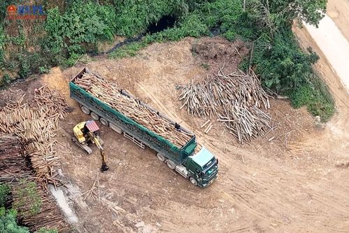Tỉnh Thanh Hóa chỉ đạo quyết liệt sau phản ánh của Báo Bảo vệ pháp luật