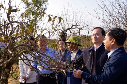 Ra mắt Câu lạc bộ 'Nông dân sản xuất, kinh doanh giỏi'