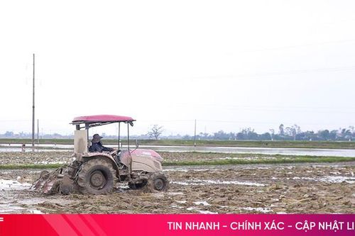 Nông dân Đức Quang phấn khởi vào mùa vụ mới