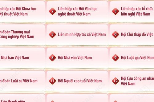 Danh sách 29 hội quần chúng do Đảng, Nhà nước giao nhiệm vụ