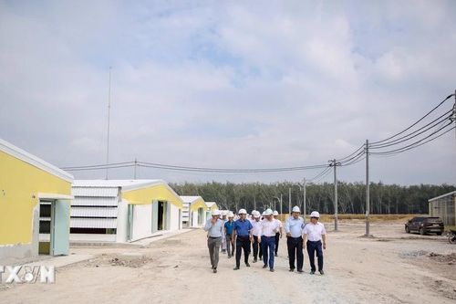 Tây Ninh: Thu hút đầu tư chăn nuôi công nghệ cao, đòn bẩy tái cơ cấu nông nghiệp