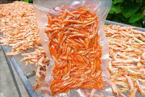 Nghề làm tôm khô Cà Mau nhộn nhịp vào vụ Tết
