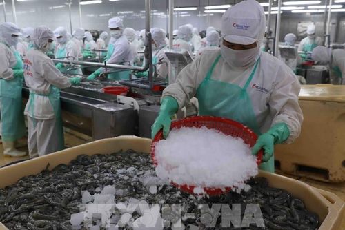 Lộ trình truy xuất nguồn gốc nông, lâm, thủy sản đến năm 2035