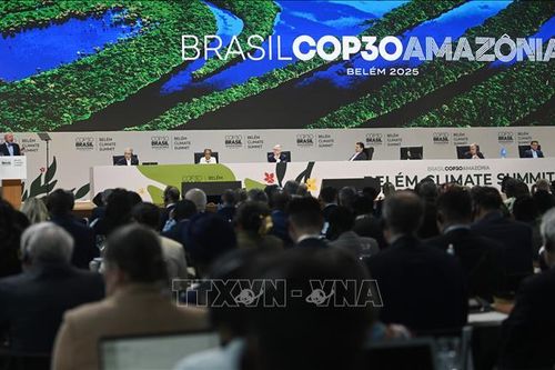 COP31 - phép thử mới của nỗ lực chống biến đổi khí hậu