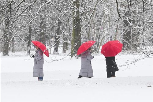 Bão càn quét châu Âu, nhiều nước thiệt hại nghiêm trọng