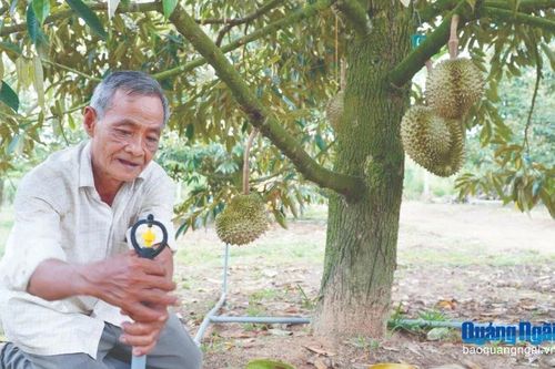 Quảng Ngãi từng bước hình thành xã nông thôn số