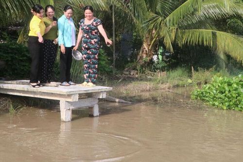 Đổi thay từ những mô hình nhỏ