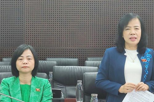 Đà Nẵng tăng cường thực hiện hiệu quả chính sách, pháp luật về bình đẳng giới