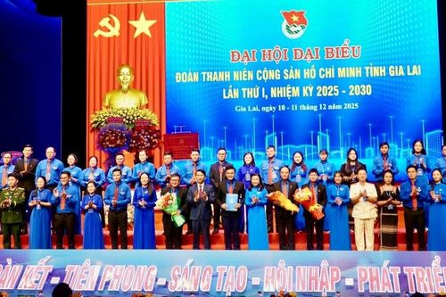 Tỉnh đoàn Gia Lai tổ chức cuộc thi trắc nghiệm trực tuyến tìm hiểu Nghị quyết Đại hội