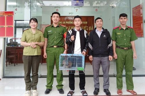 Người dân phường Quy Nhơn Nam tự nguyện giao nộp cá thể vạc rừng quý hiếm