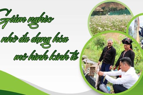 Giảm nghèo nhờ đa dạng hóa mô hình kinh tế