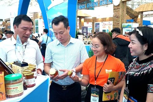 Kết nối để vươn xa