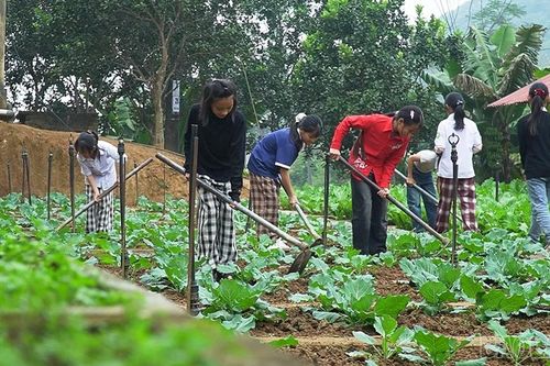 'Nông trại vui vẻ' trong trường học