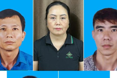 Hải Phòng khởi tố 9 bị can vụ mua bán 130 tấn thịt lợn mắc dịch tả châu Phi