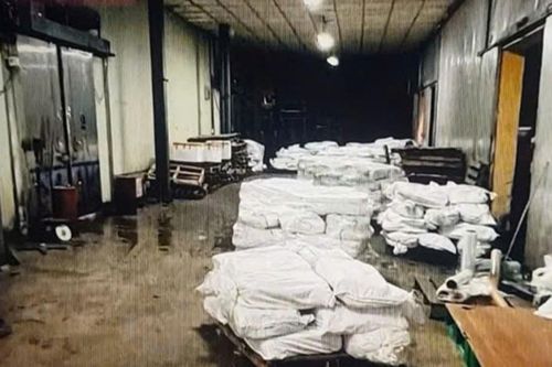Hải Phòng khởi tố vụ án 130 tấn thịt lợn nhiễm bệnh tại Halong Canfoco