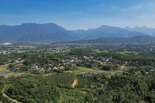 Ba kích tím - Cây dược liệu mở hướng thoát nghèo bền vững