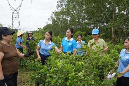 Chú trọng nâng cao quyền năng kinh tế của phụ nữ