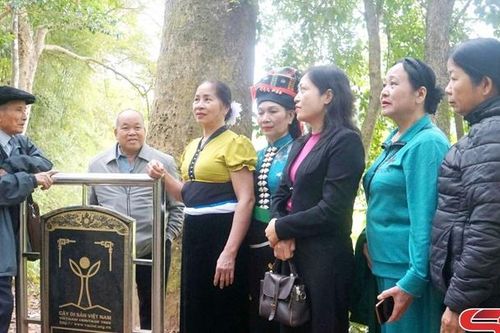 Lan tỏa bản sắc trong văn học