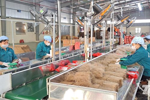 Hợp tác xã 'chạy nước rút' phục vụ thị trường Tết