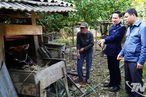 Kiểm tra công tác phòng, chống đói rét trên đàn vật nuôi