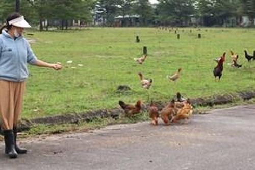 Khơi dậy ý chí vươn lên của người dân